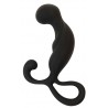 Prostate