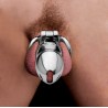 Chastity cages