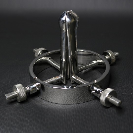Speculum Speculum