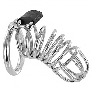 Chastity cages