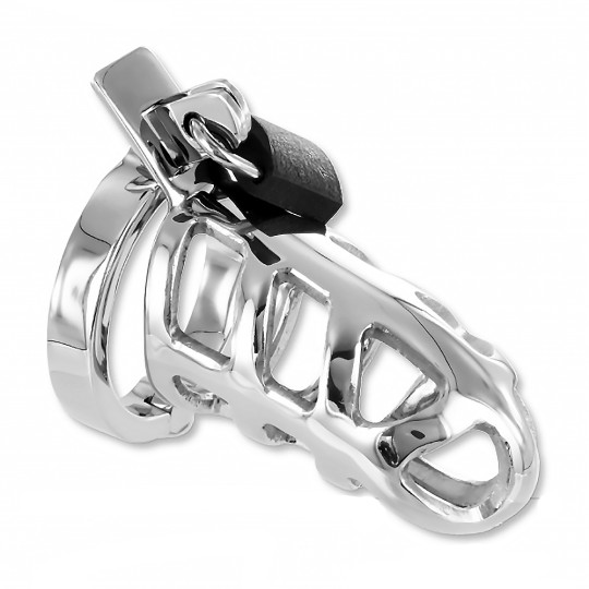 Chastity cages